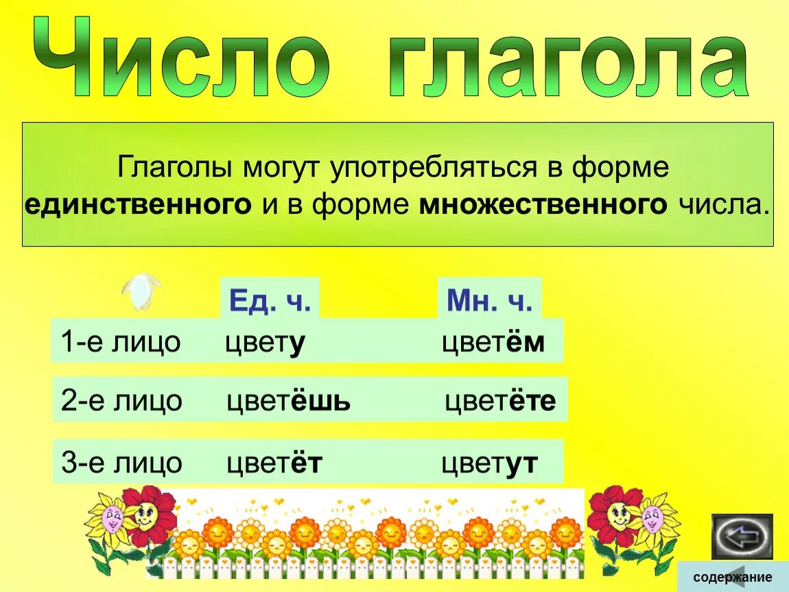 Число глаголов. Числа глаголов в русском языке. Глаголы в единственномчимле. Глагол множественного числа и единственного числа. Большое слово глагол