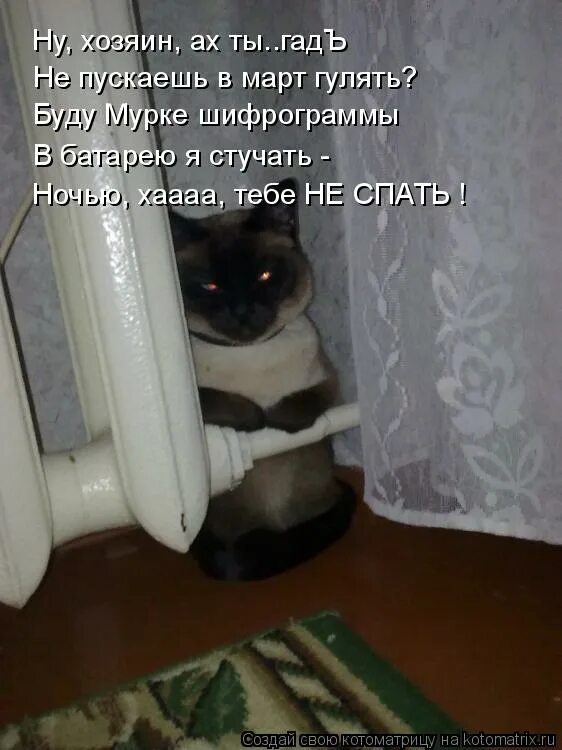 Кота не пускать он наказа. Стук по батарее. Я стучи по батареей. Выпусти ты наказан. Я стучу по батареям по кастрюлям