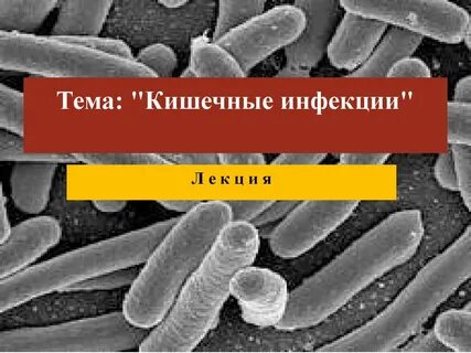 3 кишечные инфекции