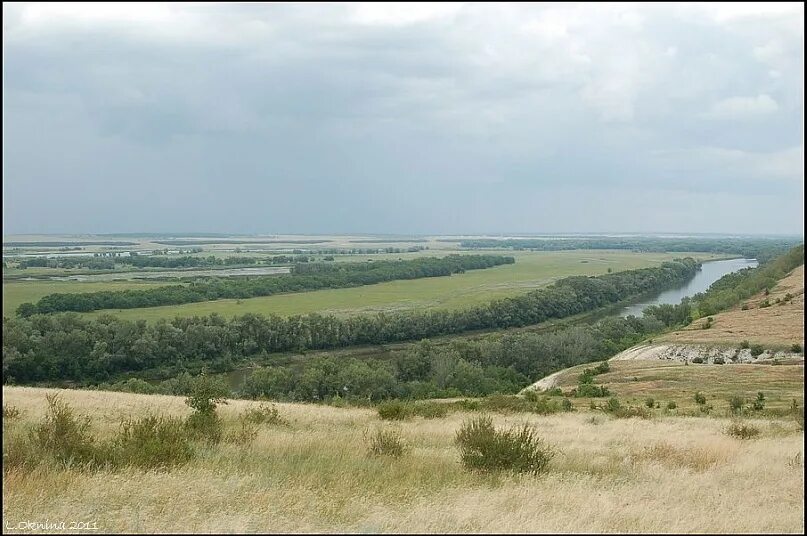 ст слащевская. станица слащевская волгоградская область кумылженский район. кардаил волгоградская область. слащевскийщевский затон на хопре хутор слащевский. знаменская церковь в слащёвской.