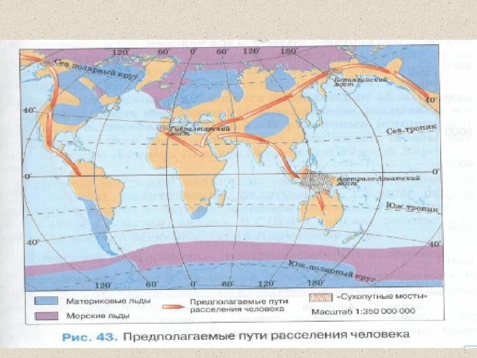 Как происходило освоение земли человеком. Население земли география 7 класс. предполагаемые пути расселения человека. расселение населения география 7 класс. география 7 класс численность населения земли размещение населения.
