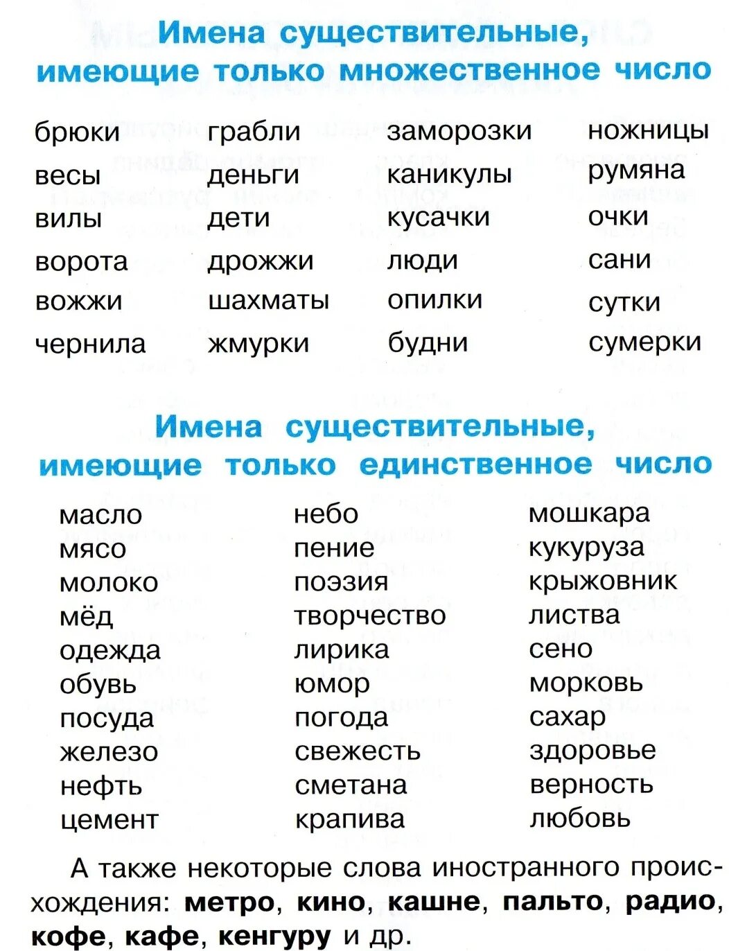 Число слова сам. Слова которые употребляются только во множественном числе. Имена существительные употребляющиеся только во множественном числе. Слова только во множествомчисле. Слова только во множественном числе.