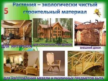 Применение истории в жизни