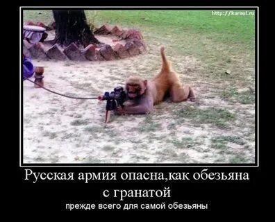 Вооружен и опасен