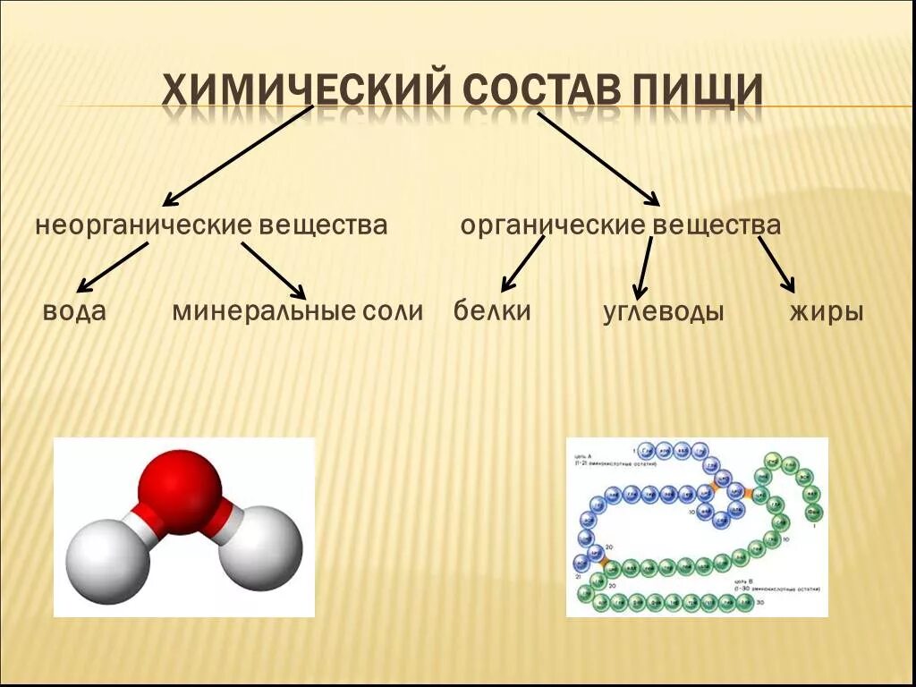 Химические соединения биология