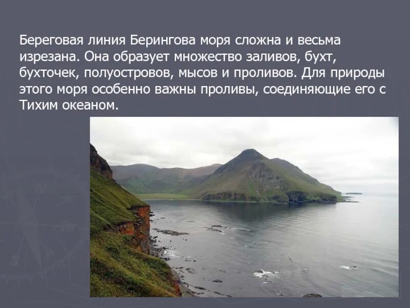 Что значит береговой. Изрезанность береговой линии Берингово моря. Берингов пролив и Берингово море. Камчатский край Берингово море. Бегова линия Берингово моря.