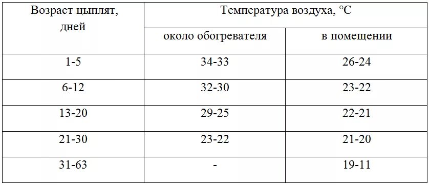 С какого возраста цыплят. Возраст цыплят. Как определить Возраст цыплят бройлеров. Как определить Возраст бройлеров. Вид цыплят по возрастам.