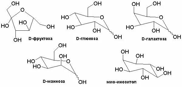 Глюкоза манноза галактоза фруктоза. Манноза галактоза фруктоза. Реакция Бутлерова структурно. Полагая что каждому химическому атому свойственно. Фруктоза манноза