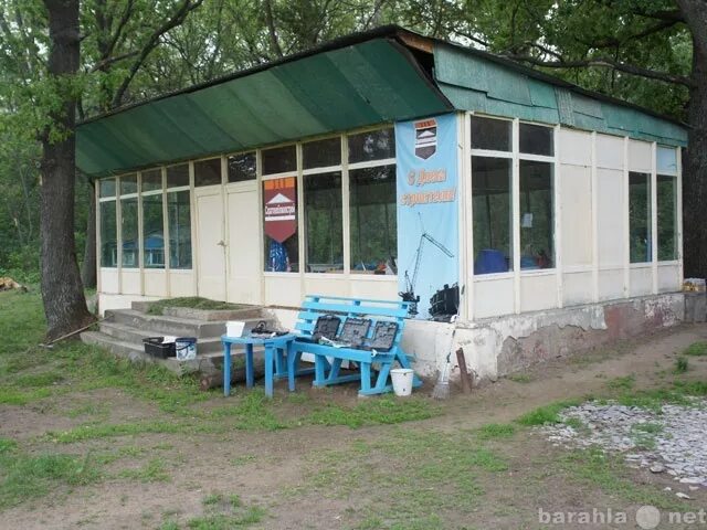 Турбаза на Сазанке. Большая Сазанка Амурская область. Остров Сазанка Саратов. Турбаза Эдельвейс на Волге Саратов.