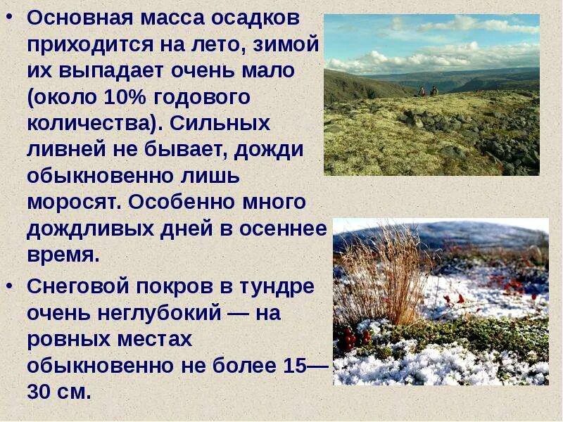 Осадки в тундре. Осадки в тундре летом. Осадки в тундре зимой и летом. Осадки в тундре и лесотундре.