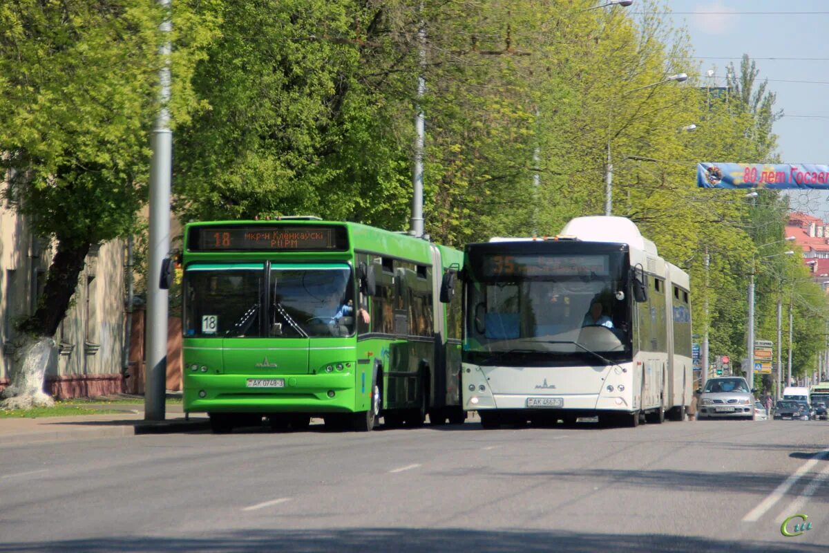 Мазы гомеля