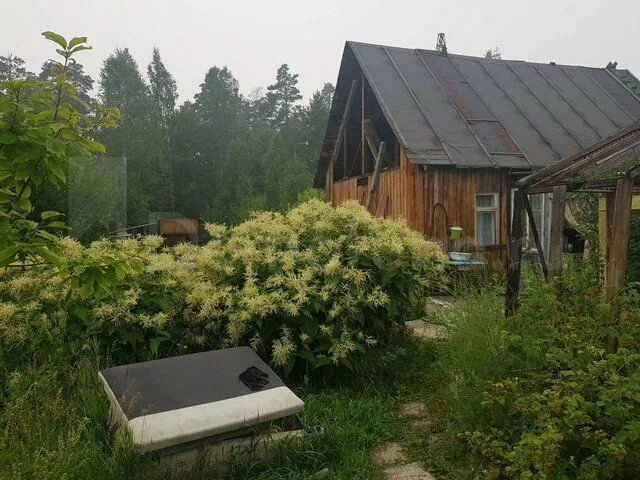 48 участок братск. 48 участок братск. 48 участок братск. Братск красная земля. 48 участок братск.