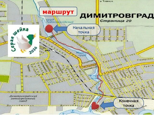 Димитровград на карте. Маршруты автобусов Димитровград. Карта Димитровграда с улицами. Димитровград схема города.