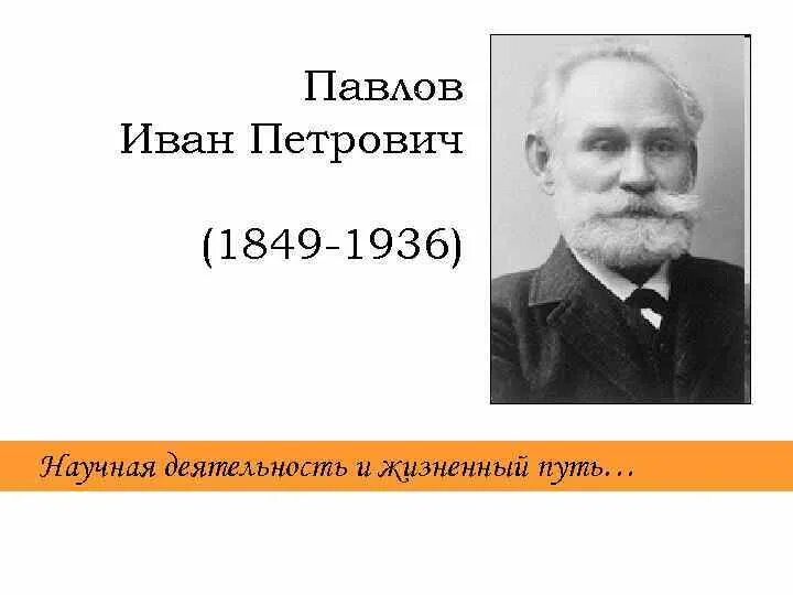 Какого года родился павлов 1. Биография Павлова Ивана Петровича кратко для детей. Доклад и.п.Павлов.