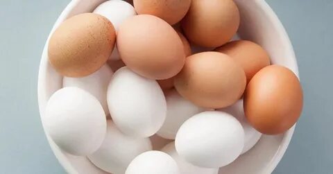 Чем отличается яйцо курицы