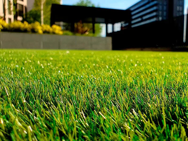 Какой газон лучше для дома. Газон. Красивый газон. Идеальный газон. Городской газон.
