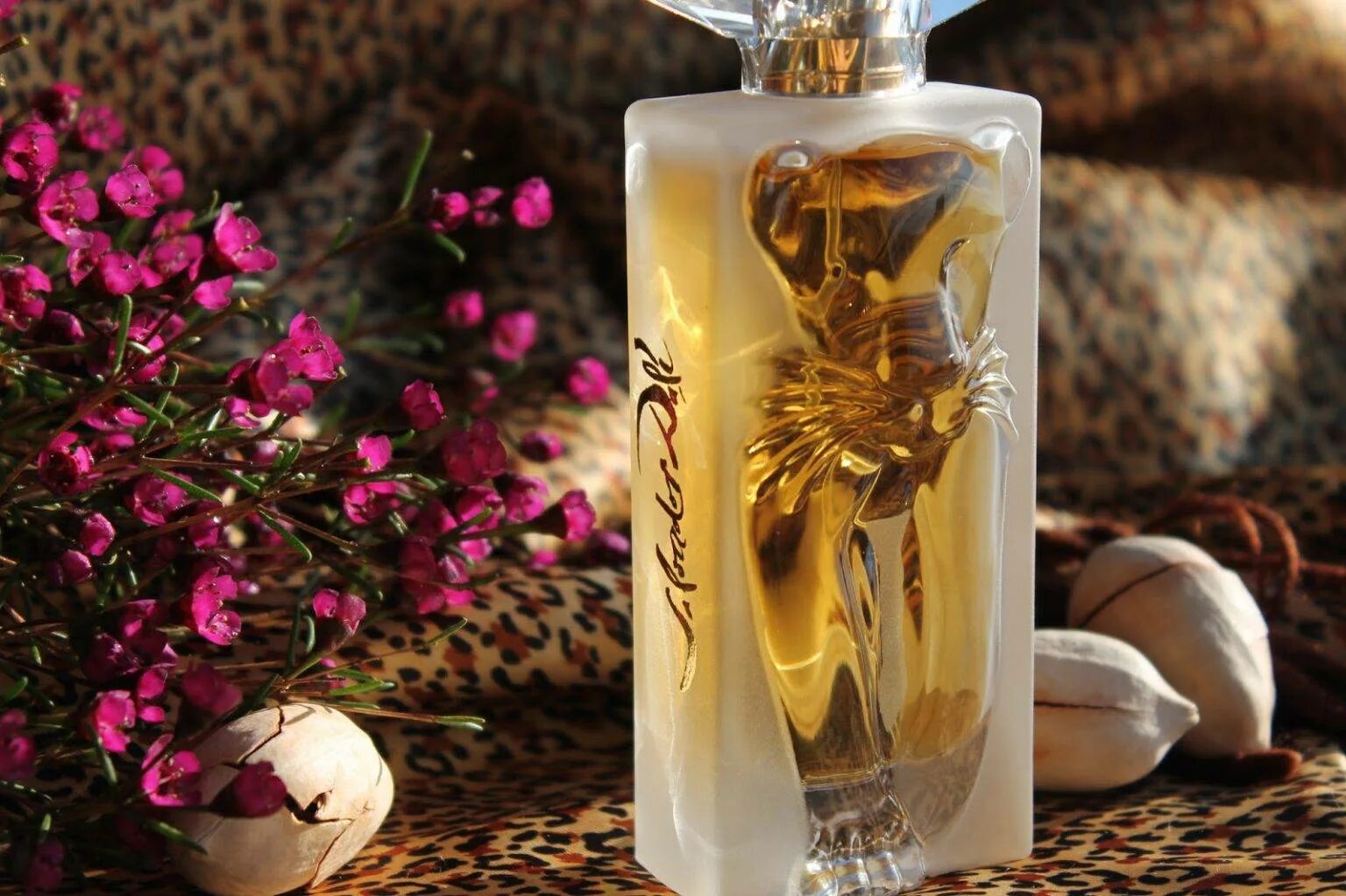 Очень красивый аромат. Туалетная вода Salvador Dali la Belle et l'Ocelot. Salvador Dali Parfum. Salvador Dali Fragrances. Аромат духов.