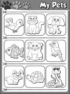 My pet animal