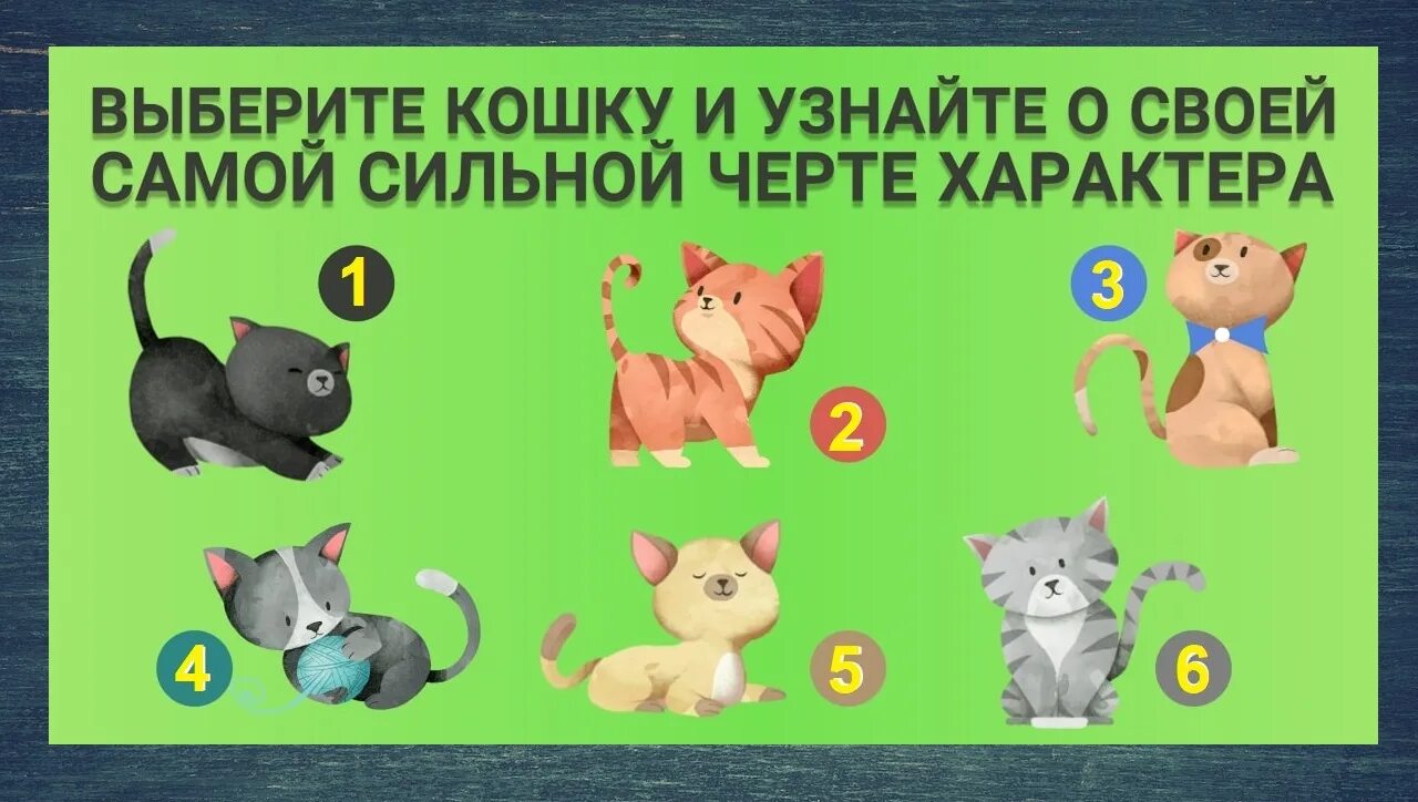 выберите картинку и узнайте. выберите кошку и узнайте свой характер. тест выбери картинку. тесты по картинкам для глаз. выберите и узнайте характер.