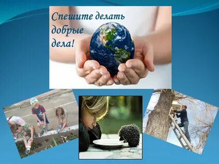 Адрес добрый мир
