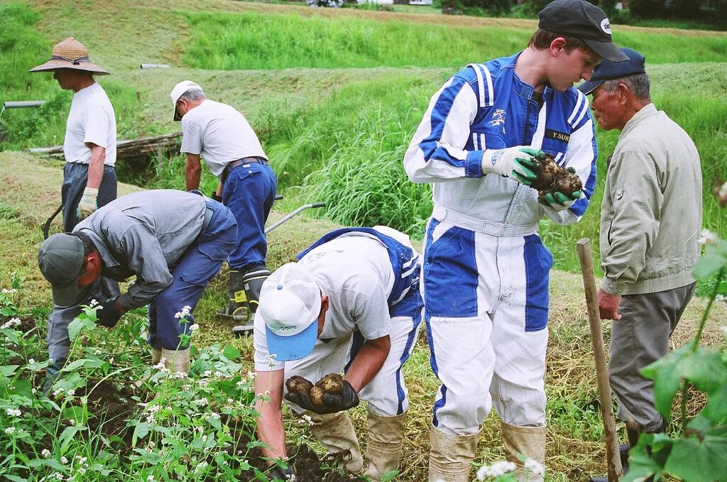 Туризм какие профессии. WWOOF волонтерство. Волонтеры на ферме. Волонтерство на органических фермах. Волонтерство за рубежом.