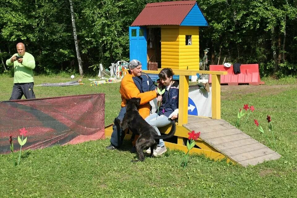 Собаки ясенево. Кинологический центр Ясенево. Собачья площадка Битцевский парк. Собачья площадка Ясенево. Кинологический клуб Битцевский парк.