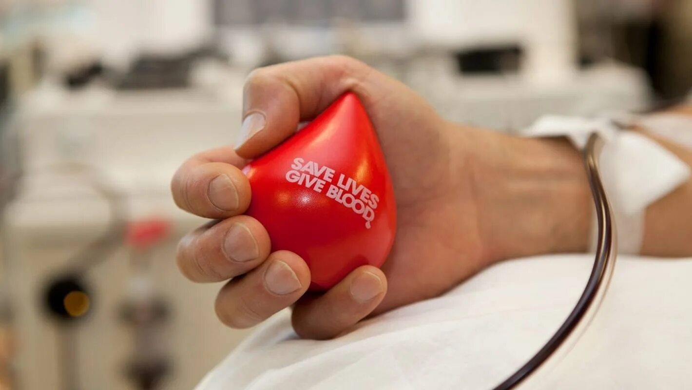 Ипотечный донор. Донорство. blood donation. корпоративное донорство.