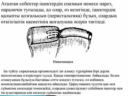 Попова Аннамен порно