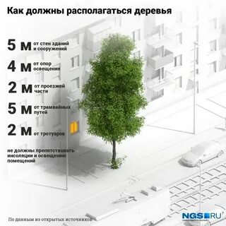 Допустимая высота деревьев