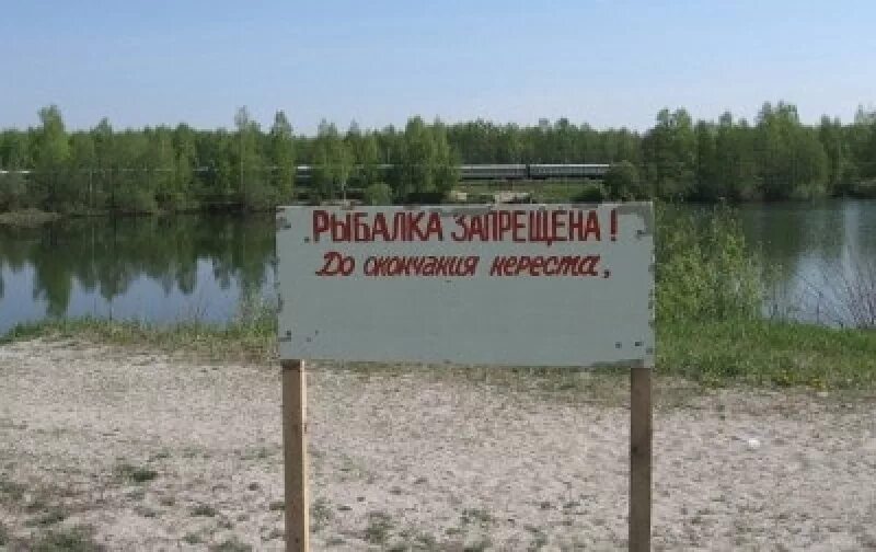 Ограничения на ловлю рыбы