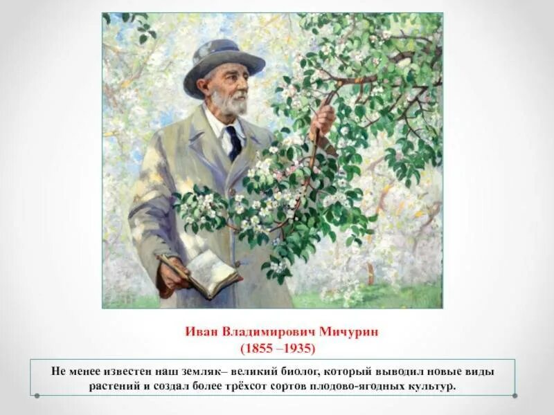 Ивана работа. Мичурин Иван Владимирович Мичурин(1855-1935). Иван Владимирович Мичурин с растением. Знаменитые люди Тамбовщины Мичурин. Мичурин Иван Владимирович достижения.