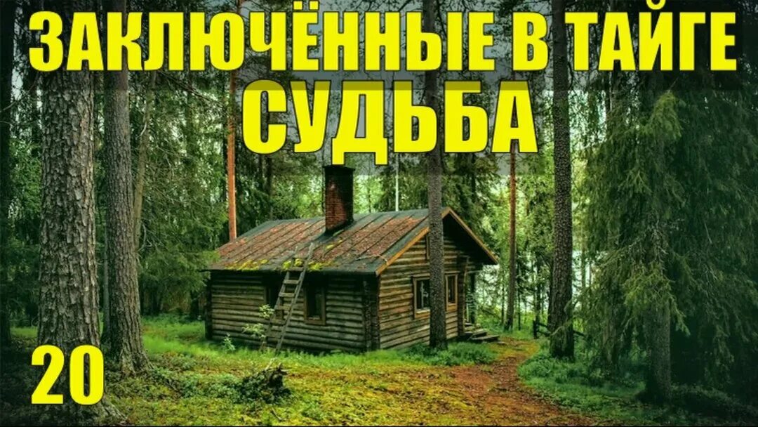 Тайга каляныч. Каляныч 35 лет в тайге. тридцать пять лет в тайге. 30 лет в тайге аудиокнига. аудиокниги о тайге.