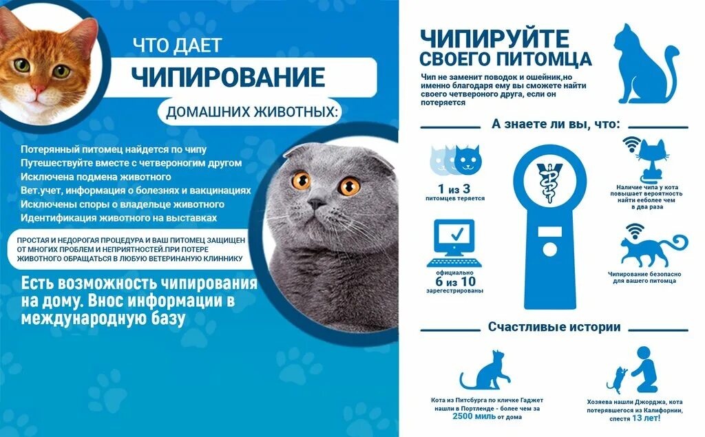 Панорама: Зоомир, зооцентр, клуб любителей животных, ул. Сайкина, 9/1, Москва - 