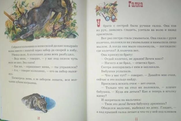 Рассказ Житкова Галка. Рассказ б Житкова Галка. Рассказ Житкова о природе. Содержание б житкова