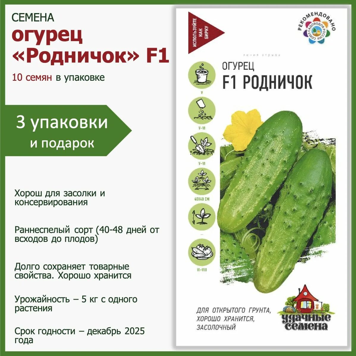 Описание огурцов родничок