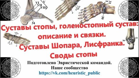 Шопара и лисфранка