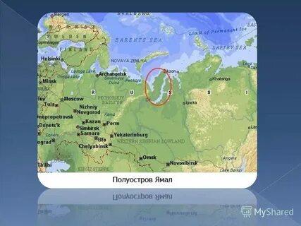 Расположены в разных частях города