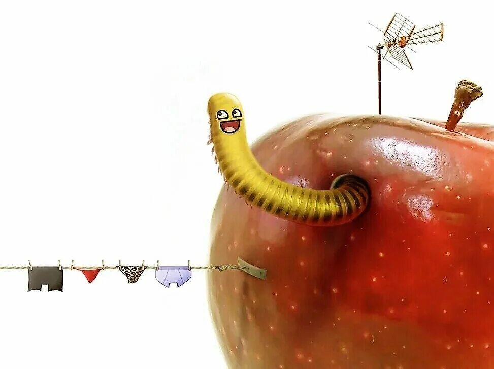 Яблоко с червяком. Червь из яблока. Прикольный червяк. Смешно червяков