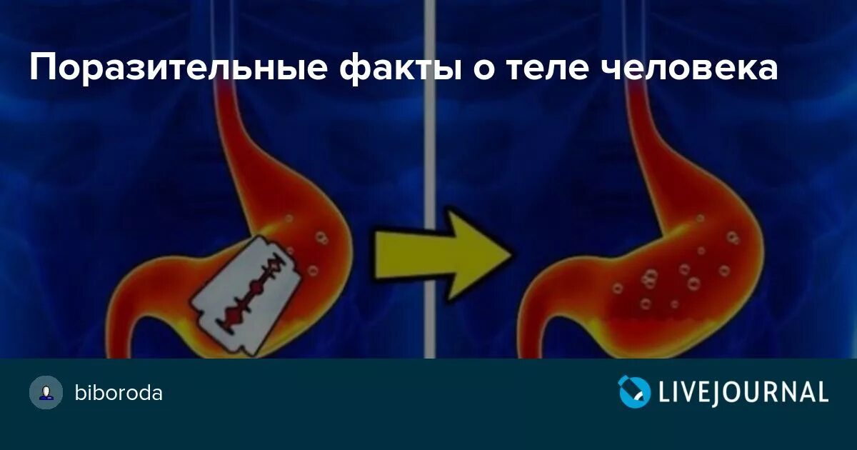 Поразительный факт. О чем говорит ваше лицо. Интересное про мозг. Поразительный факт. Тайны мироздания книги.
