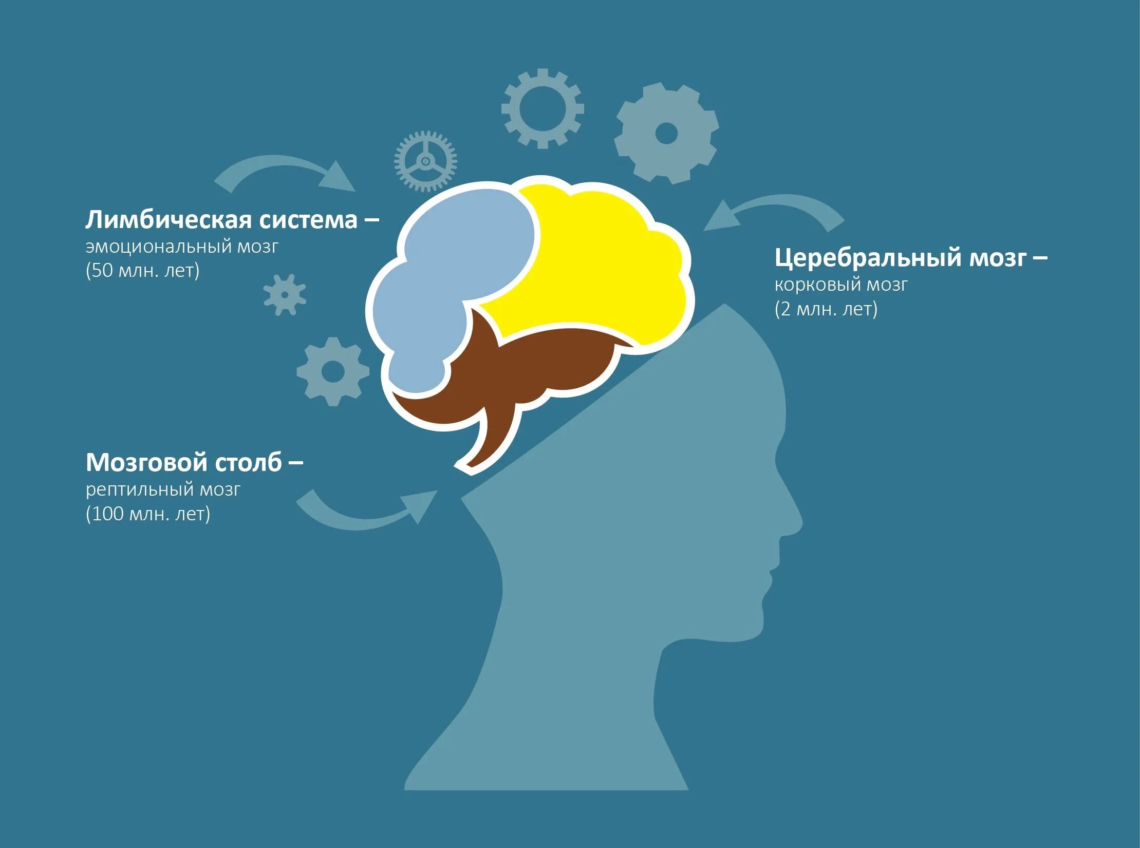 Старый новый мозг. Эмоциональный мозг. Рептильный мозг. Эмоциональный интеллект мозг. Мозг человека эмоциональный.