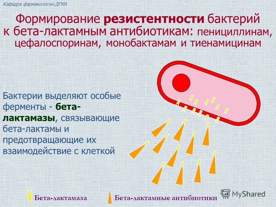 Общая резистентность. Механизм бета лактамных антибиотиков. Механизмы резистентности бактерий к бета-лактамным антибиотикам. Бета-лактамным антибиотикам (бета-лактамы).. Механизм антибиотикорезистентности бета лактамаз на антибиотик.