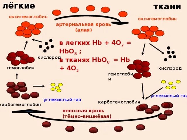 Реакция распада кислорода