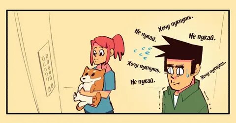 Кошки пукают