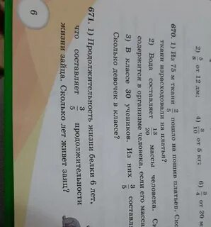 Ответьте на вопросы математика 5 класс
