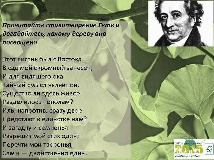 В конце жизни гете сказал основная мысль. Стихотворение Гете. Гёте стихи. Сстихотворение гёте. Сборник стихов гёте.