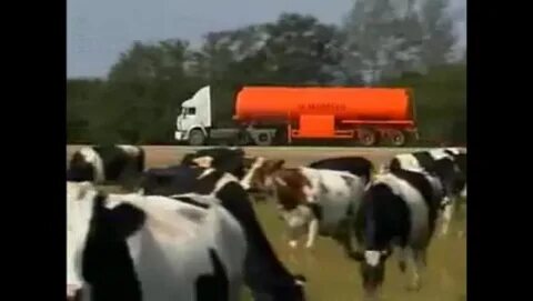 Дальнобойщики химия