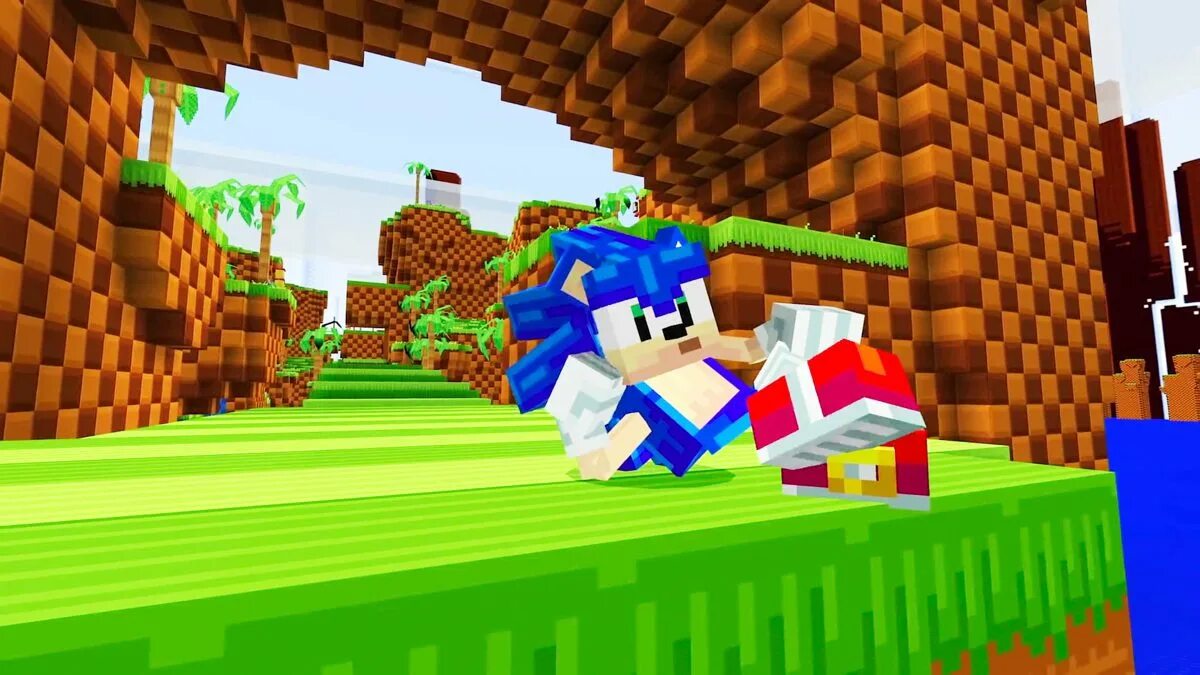 Соник постройка. Соник в майнкрафте. Майнкрафт экзе. Sonic в майнкрафте. Соник майнкрафт.