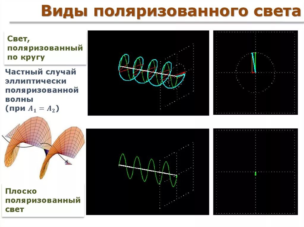Поляризованный свет аппараты. Типы поляризованного света. плоско поляризованный свет. поляризованный свет типы. поляризованный свет виды.