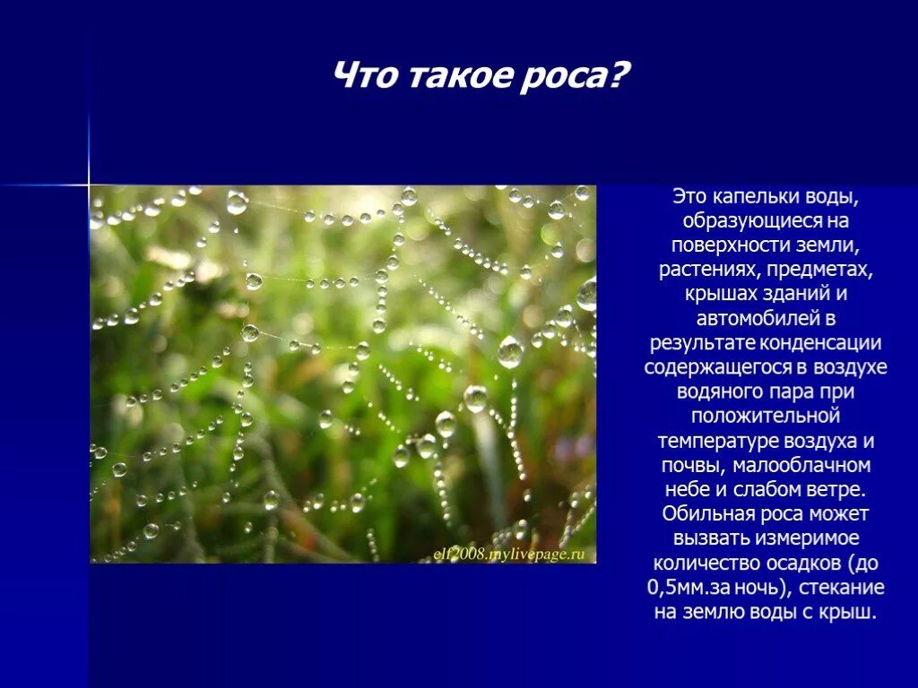 Капельки росы какая часть речи. Презентация на тему роса. Рассказ о росе. Доклад на тему роса. Описание росы.