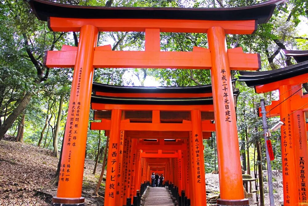 Shrine перевод. Фусими Инари Киото. Киото врата тории. Синтоистский храм Фусими Инари Киото. Фусуми Инари Тайша храм.
